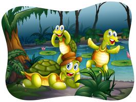 Three turtles living by the pond vector