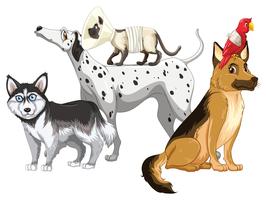 Sick dogs and cats vector
