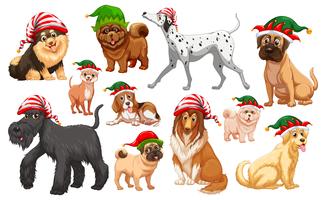 Dogs with christmas hats vector