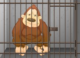 Chimpanzee being locked in the cage vector