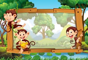 Frame design with monkeys in jungle vector