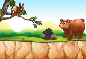 Animals and cliff vector