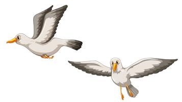 Cartoon Seagull Vector Art, Icons, and Graphics for Free Download Cartoon Seagull Vector Art, Icons, and Graphics for Free Download