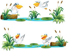 Pelicans flying over the pond vector