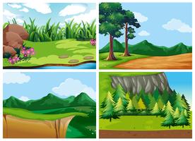Four forest scenes at daytime vector