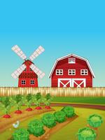 Farm scene with vegetable garden and barn vector