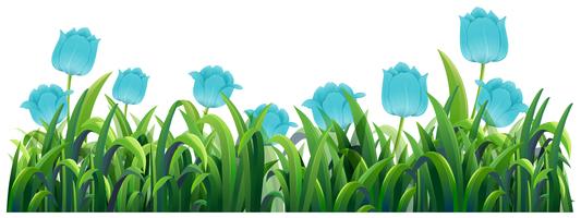 Blue tulip flowers in the green bush vector