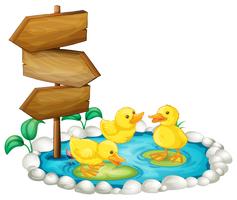 Wooden sign and ducks in the pond