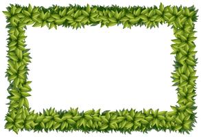 Border template with green leaves vector