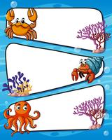 Diseño de cuadros con animales marinos. vector
