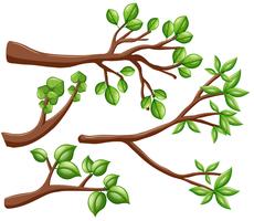 Different design of branches vector
