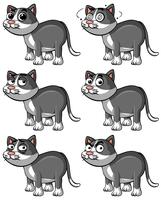 Gato gris con diferentes expresiones faciales. vector