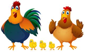 Familia de pollos con tres polluelos. vector
