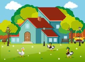 Three ducks in the front yard vector