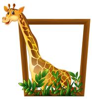 Giraffe vector