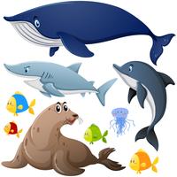 Diferentes tipos de animales marinos. vector