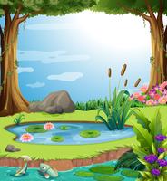 Forest scene with fish in the pond vector