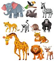 Different types of wild animals vector