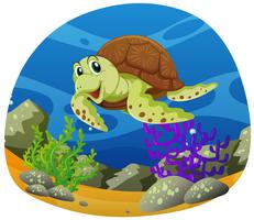 Sea turtle swimming under the sea vector