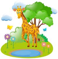 Giraffe living in the forest vector