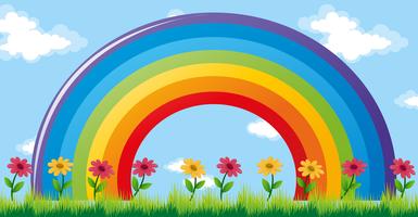 Colorful rainbow in garden vector