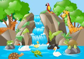 Many animals in the waterfall vector