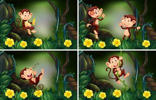 Monkeys living in the forest vector