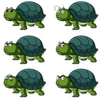 Tortuga con diferentes expresiones faciales. vector