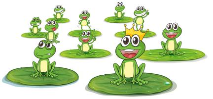 Happy frogs on lotus leaves