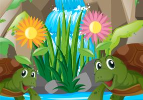 Two turtles by the waterfall vector