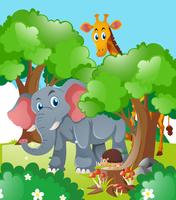 Giraffe and elephant in the forest vector