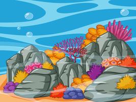 Escena submarina con arrecifes de coral y rocas vector