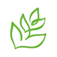 Logotipo de la hoja verde del té. Ecología naturaleza elemento vector icono de jardín. Bio vegano caligrafía bio dibujado a mano ilustración