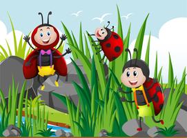 Three ladybugs in garden vector