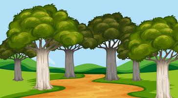 Park scene with trees and trail vector