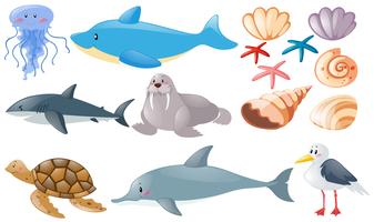 Diferentes tipos de animales marinos. vector