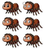 Brown spider with different emotions vector