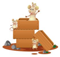 Muchas ratas en cajas de madera. vector