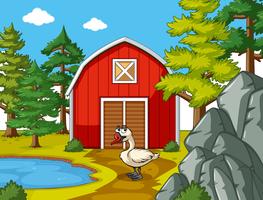 Farm scene with goose by the barn vector