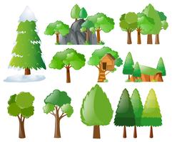 Different types of trees vector