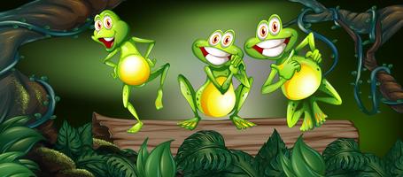 Three frogs dancing on log in the jungle vector