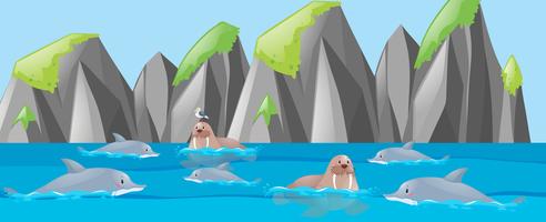 Walrus and dolphin in the sea vector