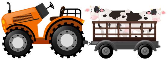 Tractor naranja con dos vacas en carro vector