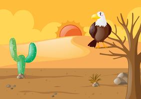 Eagle in the dry desert vector