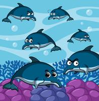 Blue dolphins swimming underwater vector