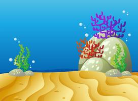 Underwater scene with sand and coral reef vector