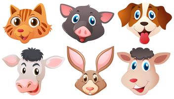 Different heads of cute animals vector