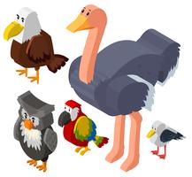 Diseño 3D para diferentes tipos de aves. vector
