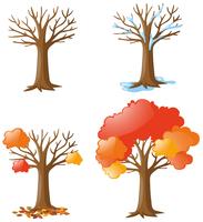 Tree in different seasons vector