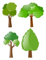 Different shapes of trees vector